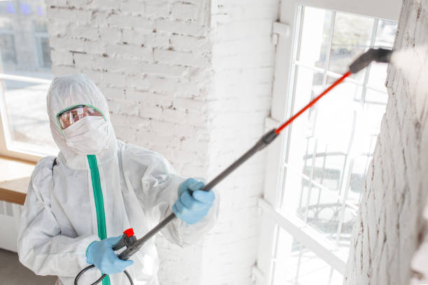 Best Mold Prevention Services  in USA